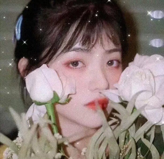 女猫